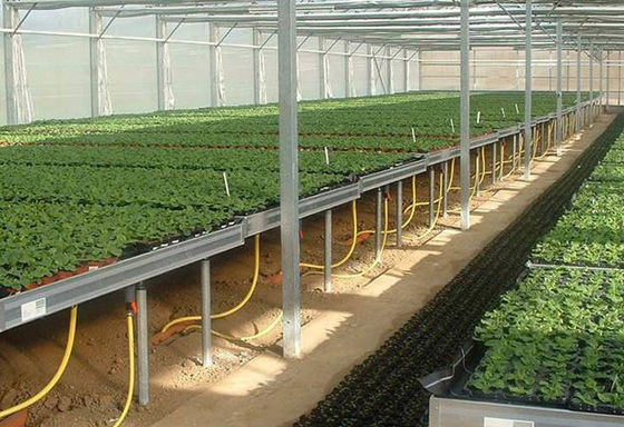 ग्रीनहाउस 3×3 मिमी वेल्डेड वायर मेष उच्च भार क्षमता और वायु प्रवाह