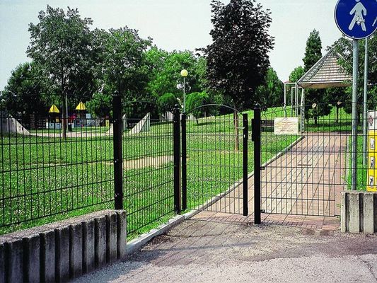 प्रतिष्ठा जाल 868 डबल तार बाड़ 50 × 200 मिमी सजावटी के लिए