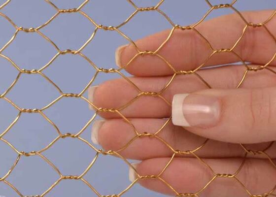 Multi Purpose Brass Copper Bronze Hexagonal Wire Mesh with Bright Color Used in Agriculture and Food Processing Industries