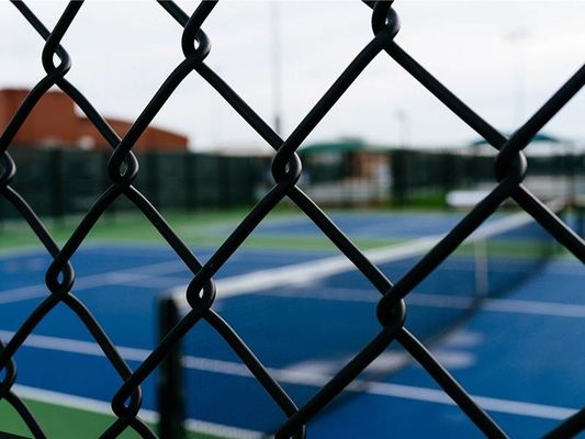 6 गेज विनाइल कोटेड चेन लिंक फेंस 6 फीट ऊंचाई 50 फीट रोल